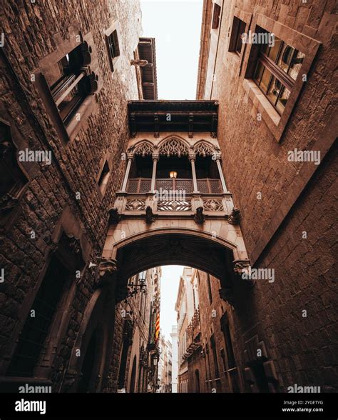 Pont del Bisbe in the Gothic Quarter, Barcelona - Iconic Architecture ...