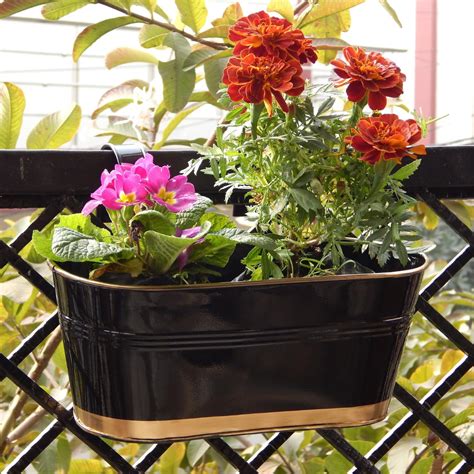 ecofynd 12 Inches Aurelia Railing Planters for Balcony, Hanging Pots ...