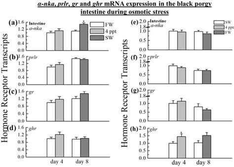 IJMS | Special Issue : Unveiling the Impact of Metabolism on Neuroscience