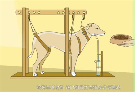 【伊万·巴甫洛夫】巴甫洛夫的条件反射学说是靠狗狗得来的？| 巴甫洛夫和他的弟弟尼古拉 - YouTube