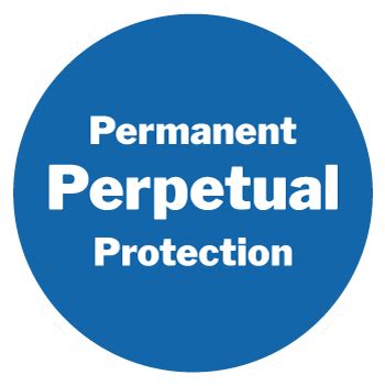 Image result for Auto Perma Safe Protection