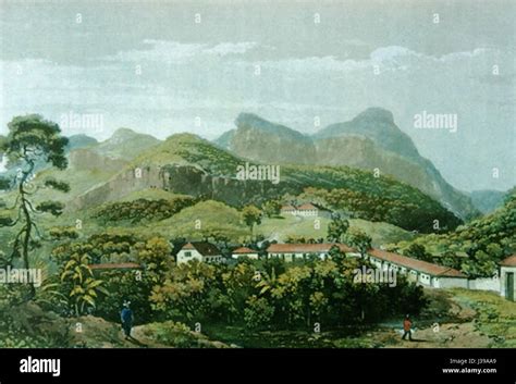 Colonization Process 的图像结果