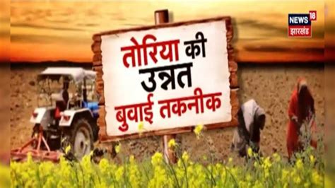 Annadata : Toriya ( राई ) की वैज्ञानिक तकनीक से खेती | Farming ...