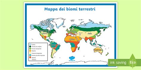 I Biomi - Informazioni e Risorse - Twinkl