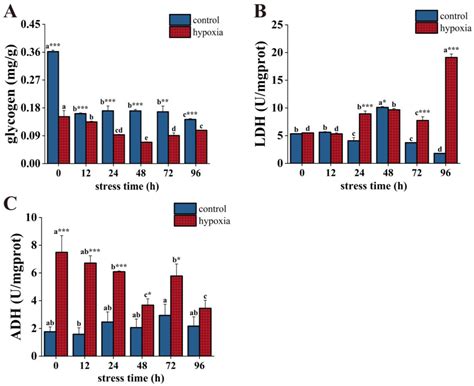 The Multifaceted Effects of Short-Term Acute Hypoxia Stress: Insights ...
