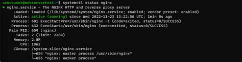 Image result for Nginx with Custom Code