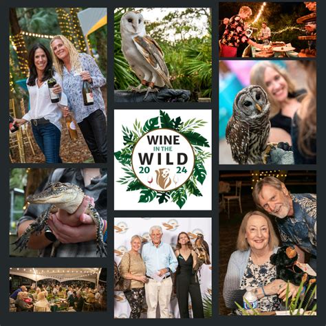 The Busch Wildlife Sanctuary Inc - Wine in the Wild 2024