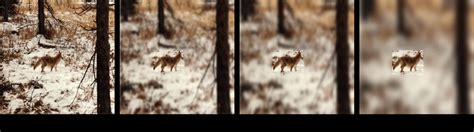 Image result for Image Validation in Python Using Dataset