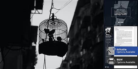 I Know Why the Caged Bird Sings Historical Context | Beyond