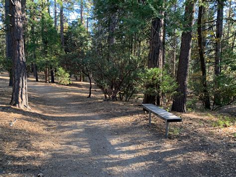 Hiking The Perimeter Loop Trail, Idyllwild Nature Center (Idyllwild, CA ...