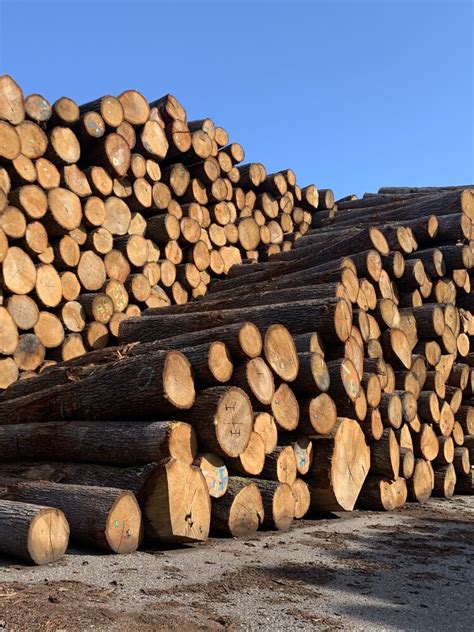 mafi Naturholzböden