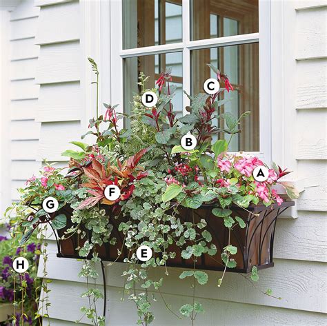 Window Box Arrangements Dogwood Spring Containers That Handle The Cold
