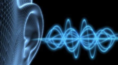 为什么 20 Hz ~ 20000 Hz 的声音都能引起人耳「共振」？耳膜没有固定的震频吗？ - 知乎