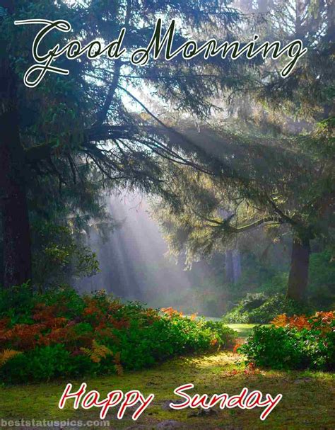 51+ Good Morning Happy Sunday Images For WhatsApp [2024] - Best Status Pics