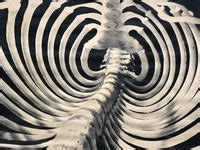 Image result for Organizing Visual References