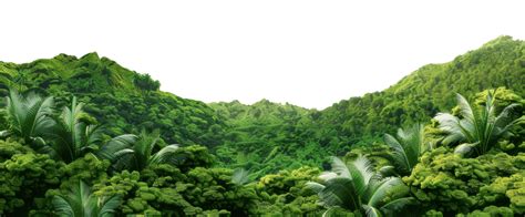 Computer Greenscreen PNG 的图像结果