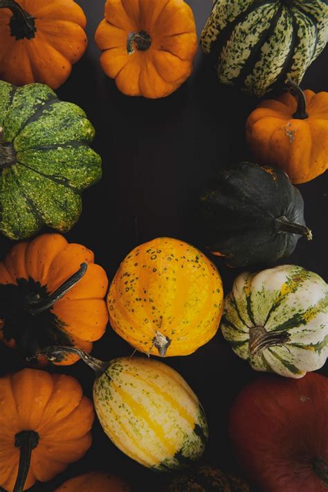 Image result for Chef Cooking Photography