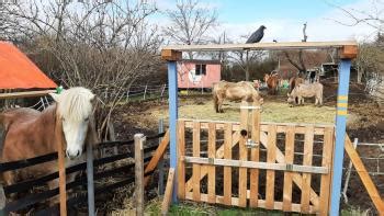 Göttingen im Wandel e.V. – eine Transition Town Initiative | ERDFEST ...