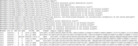 VCF Format Explained 的图像结果