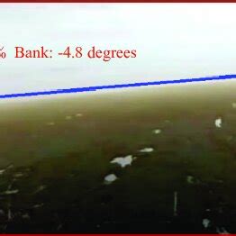 Image result for Parallel Processing Visual System