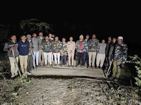 સાત વર્ષની બાળકીને મોતને ઘાટ ઉતારનાર દીપડાને પકડવા 8 પાંજરા ગોઠવાયા ...