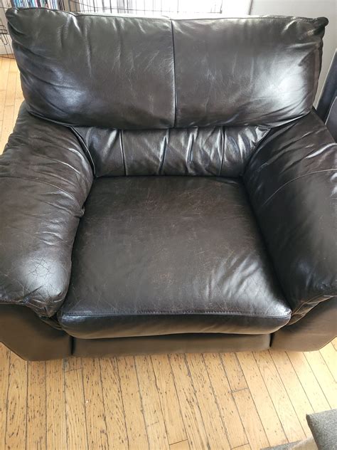 Michelle's five star review: "Works great. With 3 labradors our couch and chair was ruined, but ...