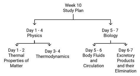 150 Days time table for NEET - Physics Class 11 PDF Download