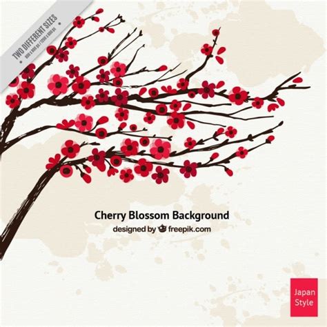 Red cherry blossom background | Free Vector