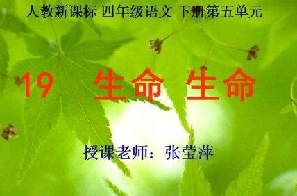 《生命生命》读后感400字 - 百家笔记网