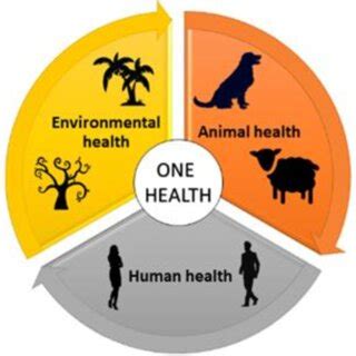 Image result for One Health CDC