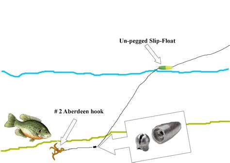 Image result for How to Catch Shellcrackers