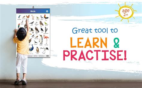 Buy Kids Learning Wall Chart | Domestic Animals, Wild Animals & Birds ...