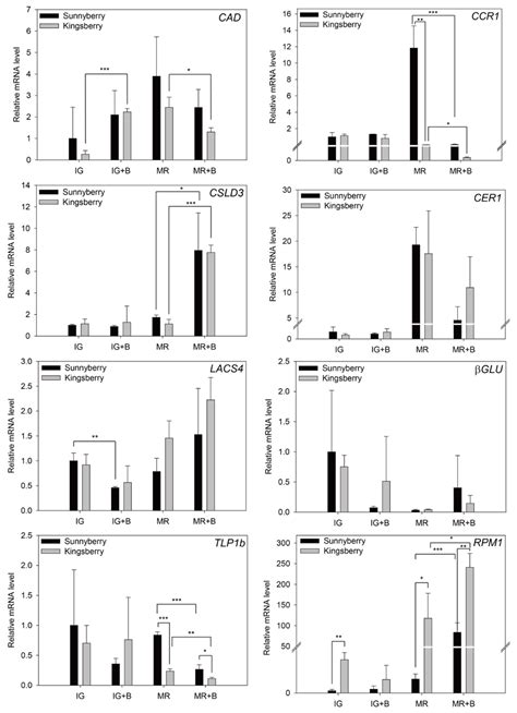 Transcriptome Analysis of the Fruit of Two Strawberry Cultivars ...
