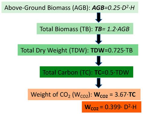 Integrating Urban Tree Carbon Sequestration into Metropolitan Ecosystem ...