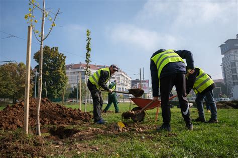 TvojCO2 | A new UNDP digital tool that’s bringing forests back to life ...