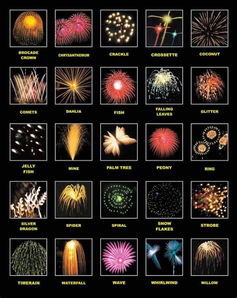 Collage of different firework types. | Fireworks, Abstract artwork, Big ...