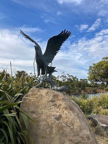 SPIRIT OF THE WEDGETAIL (2026) All You Need to Know BEFORE You Go (with ...