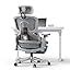 DROGO Mesh Ergo Flow Luxury Ergonomic Office Chair for Work from Home ...