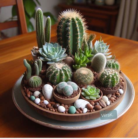 Pinterest | Succulent garden diy, Mini cactus garden, Succulent garden ...