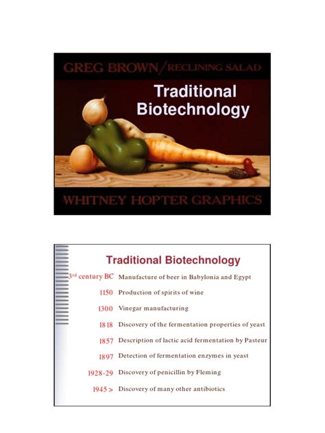 Traditional Biotechnology 的图像结果