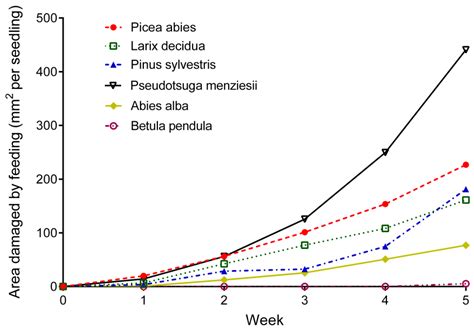 Adult Feeding Preference and Fecundity in the Large Pine Weevil ...