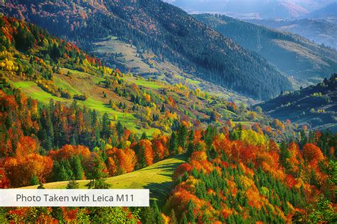 Rangefinder Camera 的图像结果