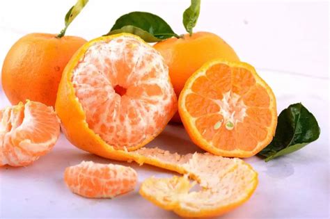橘子的功效与作用-橘子的功效与作用,橘子,功效,与,作用 - 早旭阅读
