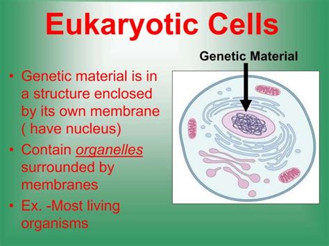Image result for Structural Unit
