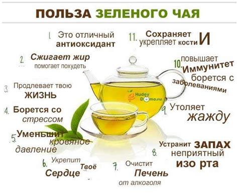 Зелёный чай – это польза для нашего здоровья!. Обсуждение на ...
