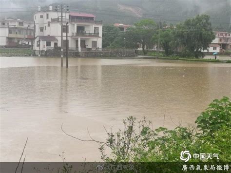 桂北水灾严重！漓江今年首超146米警戒水位|南国早报网-广西主流都市新闻门户