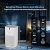 Qubo Smart Air Purifier Q400 for Home by Hero Group | 400 Sqft | 99.99% ...