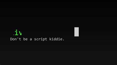 Image result for Script Kiddies Hacker Cartoon