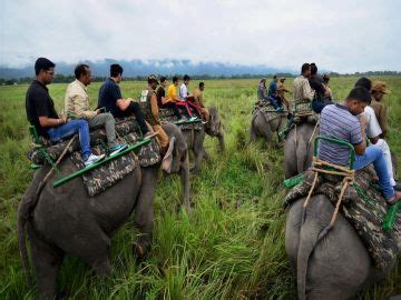 Family Getaway 3 Days Assam Offbeat Trip Package | Guwahati, Assam ...