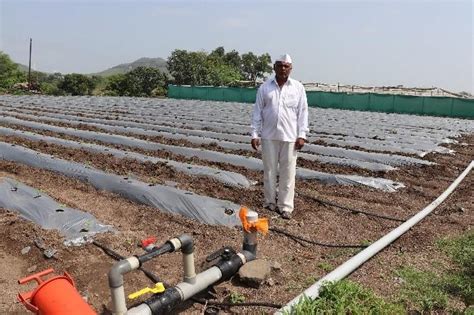 Drip Irrigation support | Syngenta